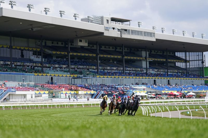 Ellis Star (Ubercapper) The inside track on Woodbine turf racing