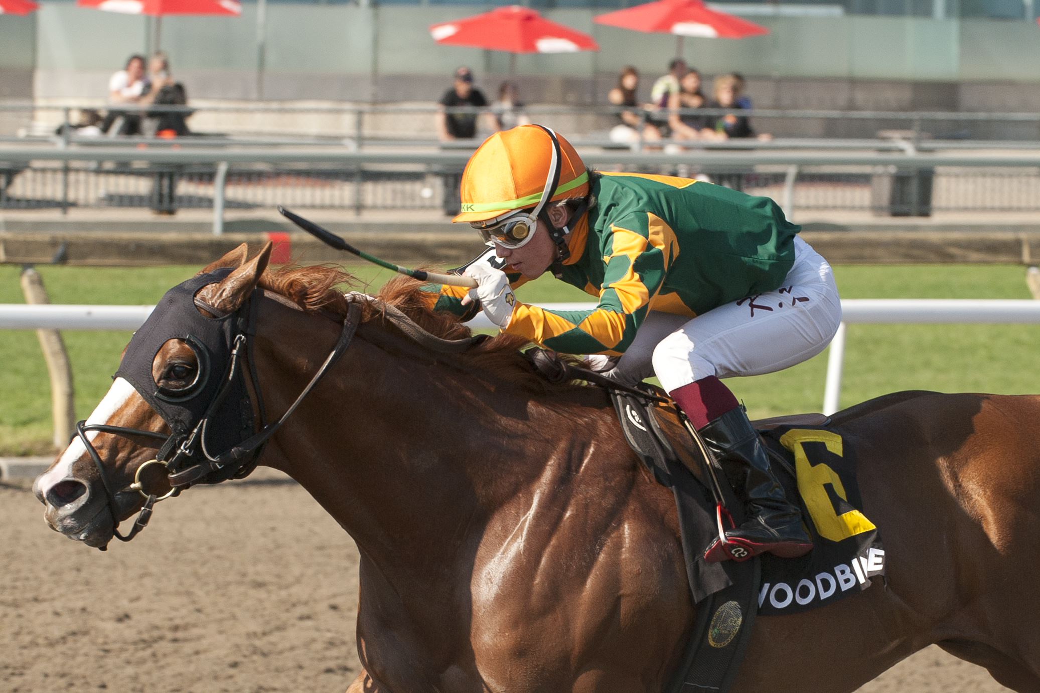 Woodbine names Stars of the Month for May Woodbine Racetrack