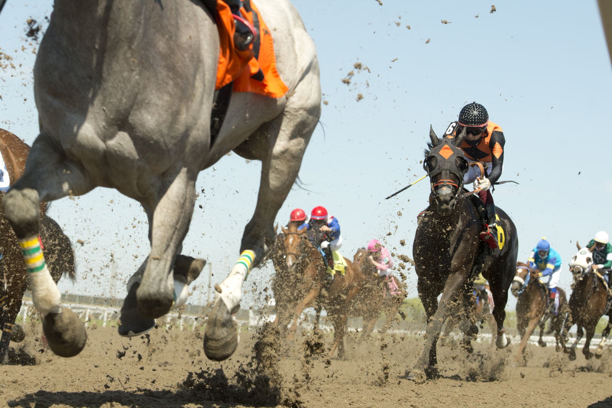 Woodbine boosts purses for select claiming events Woodbine Racetrack