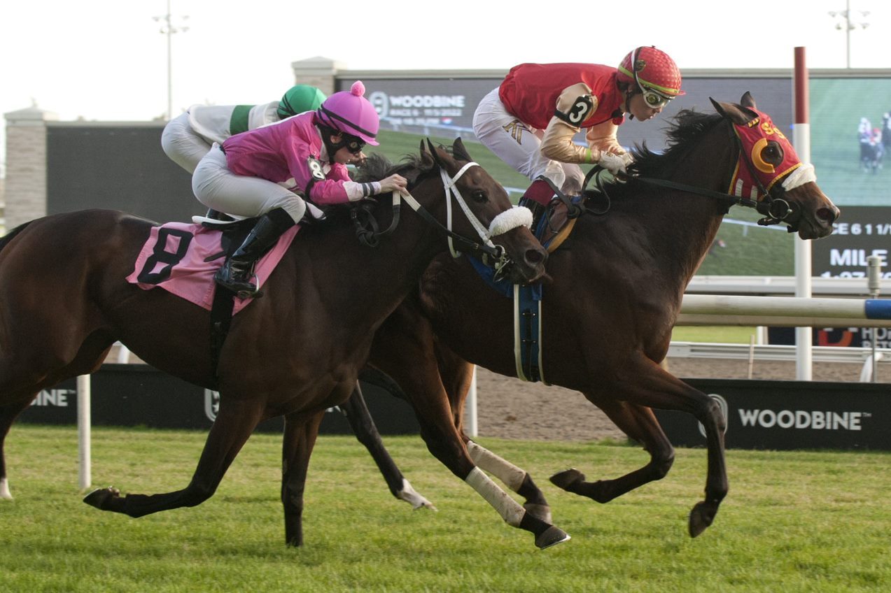 Woodbine Winter Watch Gail Cox and David Moran Woodbine Racetrack