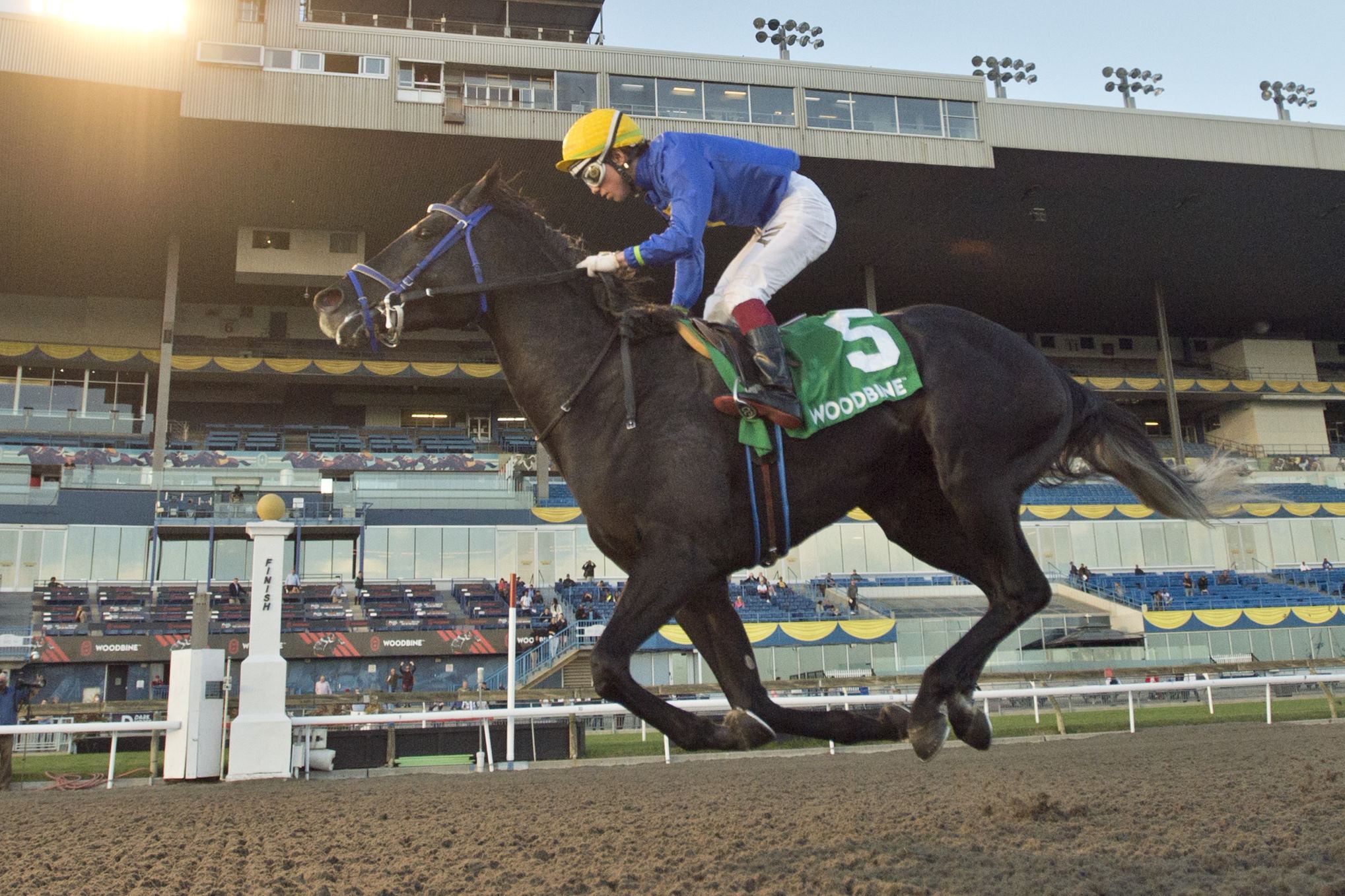 Ernie Perri 5 Horses To Watch Woodbine Racetrack
