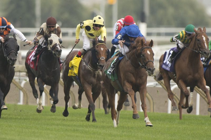 Woodbine Set for Most Exciting Racing Season in Recent History