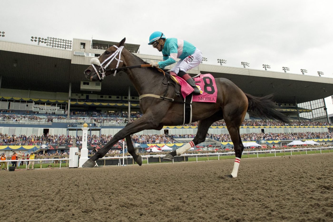 Woodbine Set for Most Exciting Racing Season in Recent History