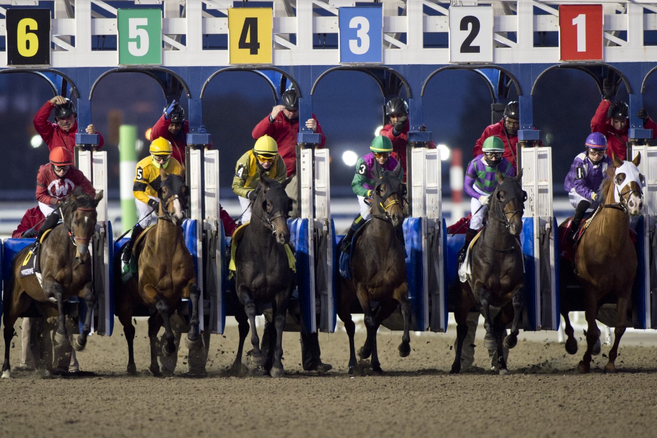Woodbine cancels remainder of Sunday's live racing Woodbine Racetrack