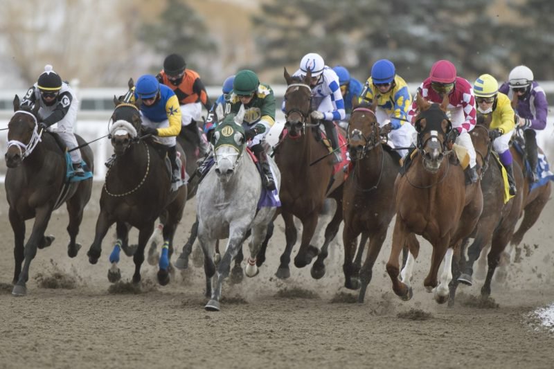 Woodbine meet leaders post impressive numbers Woodbine Racetrack
