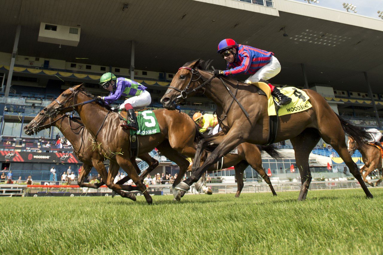 Woodbine to host Labour Day Monday card Woodbine Racetrack