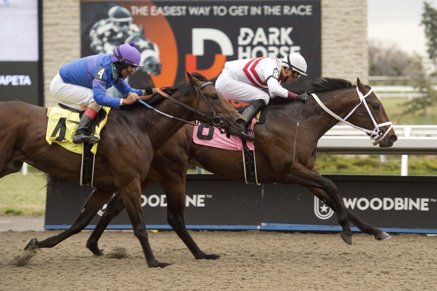 Woodbine Winter Watch Steven Chircop and Sahin Civaci Woodbine Racetrack