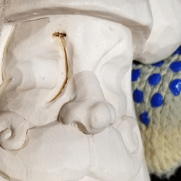 Wood Properties of Basswood Wood Chip Chatter