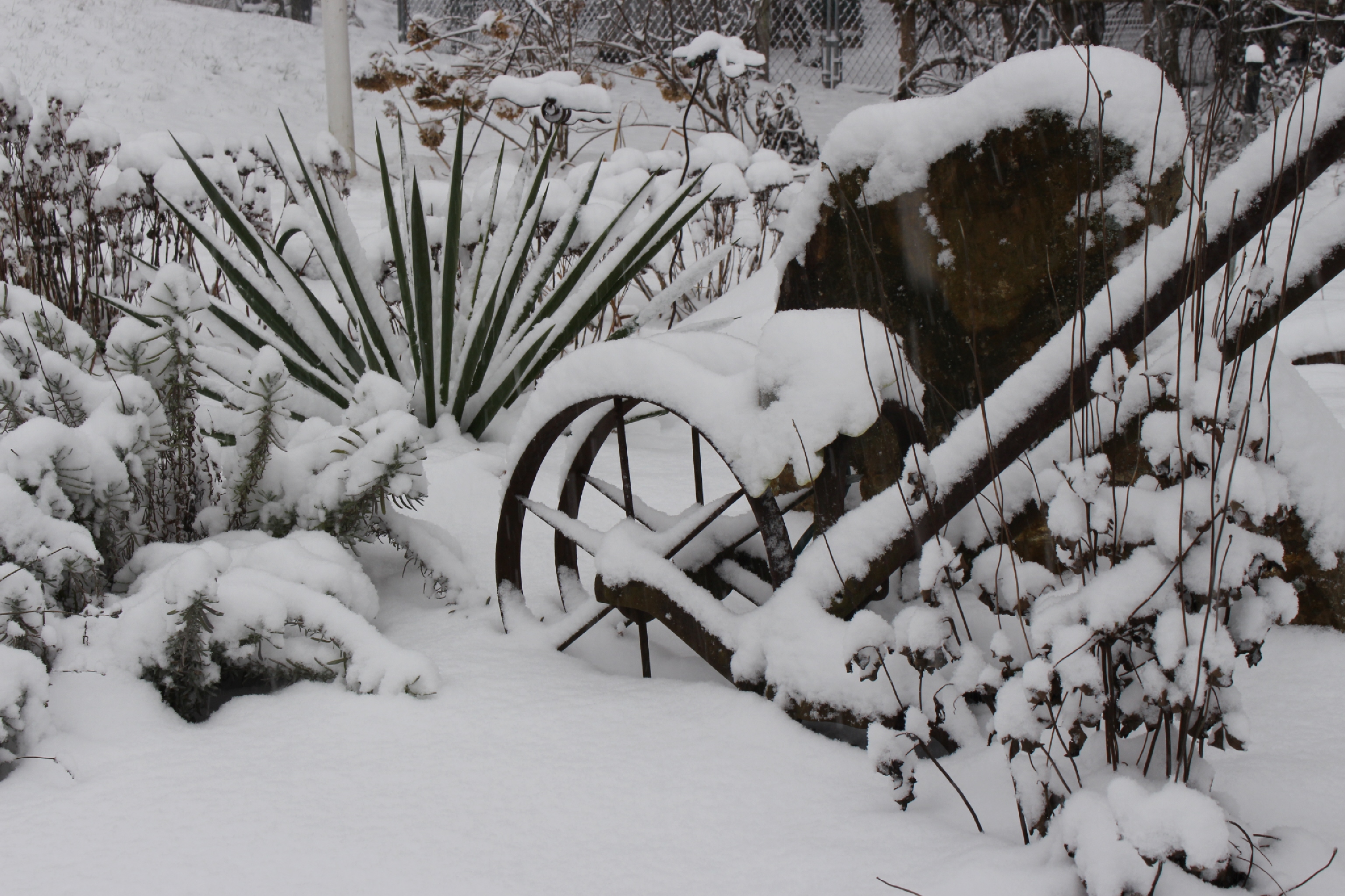 Wood County Master Gardeners