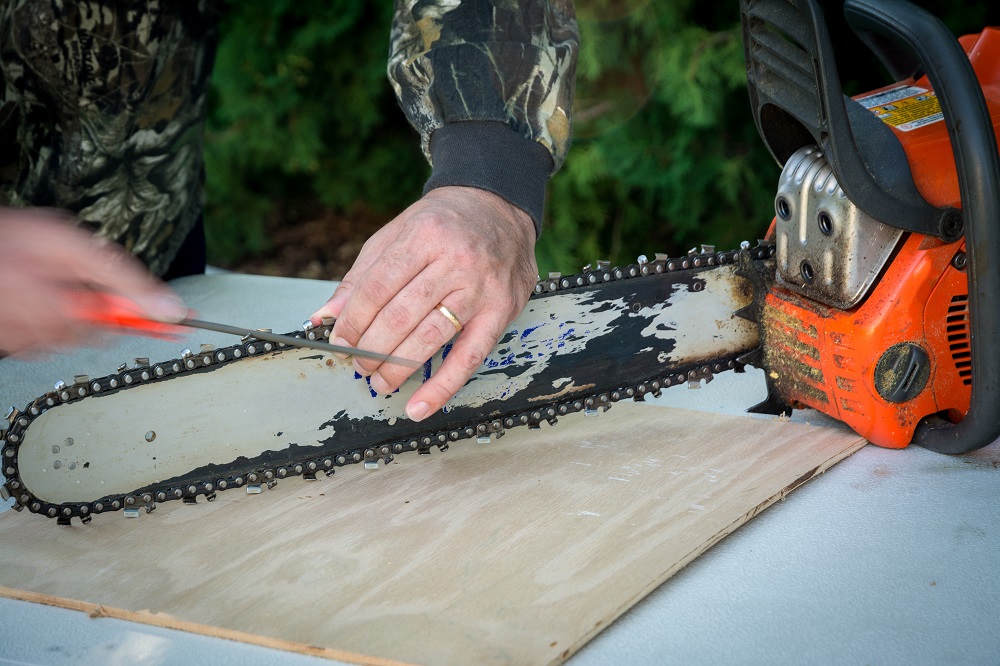 Best Chainsaw Bars Ultimate Chainsaw Buyer’s Guide 2021