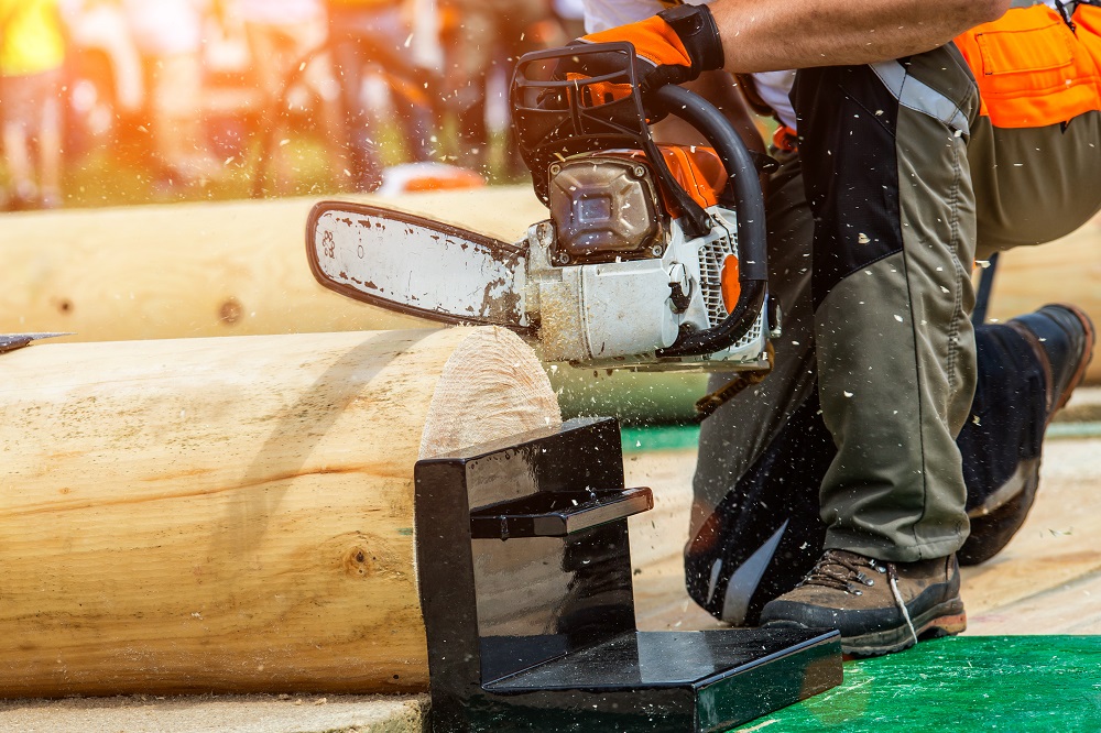 Best Chainsaw Bars Ultimate Chainsaw Buyer’s Guide 2021