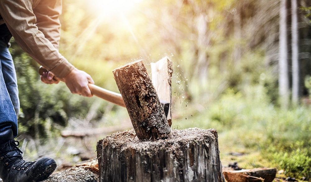 Parts of an Axe Wood Cutter HQ