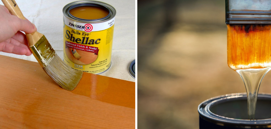 How to Thin Shellac 9 Effective Methods (2024)