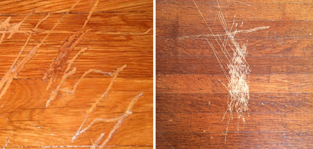 How to Fix Scratches on Engineered Wood Floor 5 Easy Steps