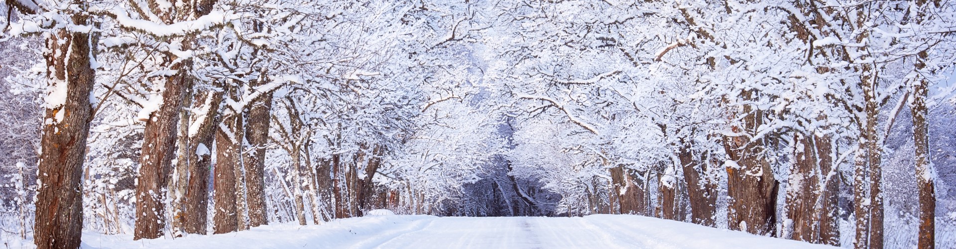 CIBC Wood Gundy Barrie branch