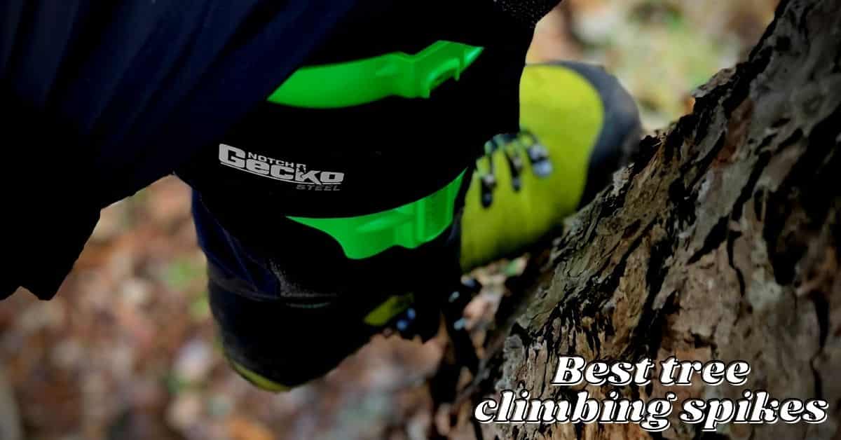 7 Best Tree Climbing Spikes (Kevin's Pick) in 2023