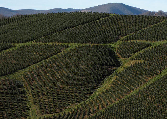 Anything & Everything Wood