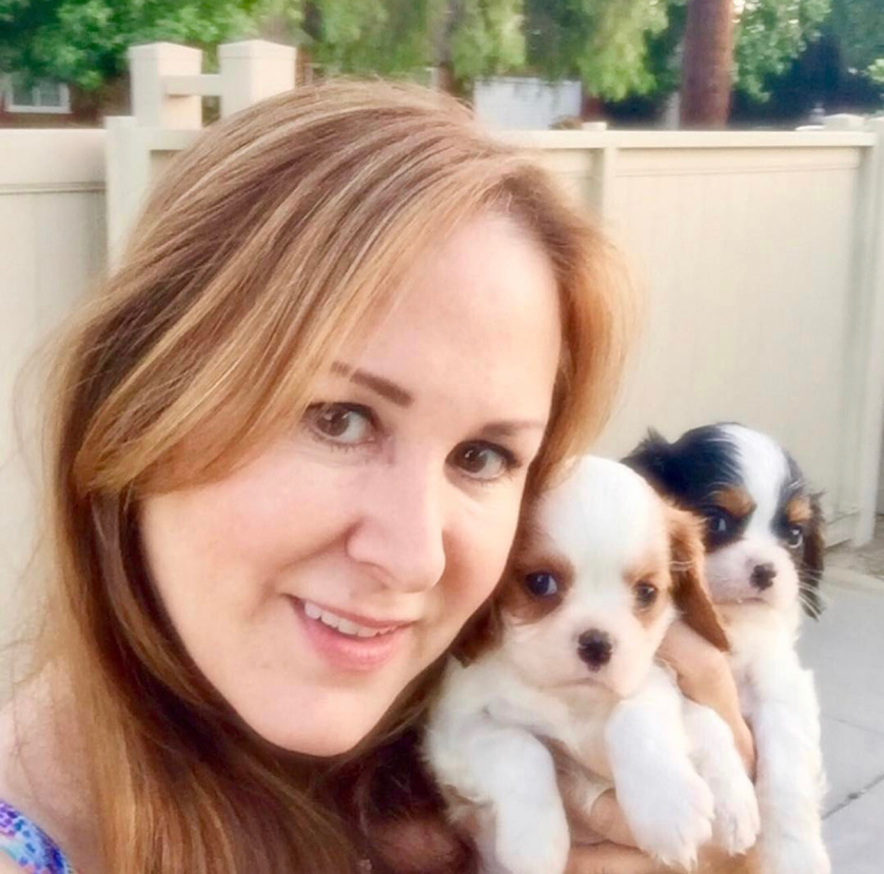 About Us Woodland Cavaliers