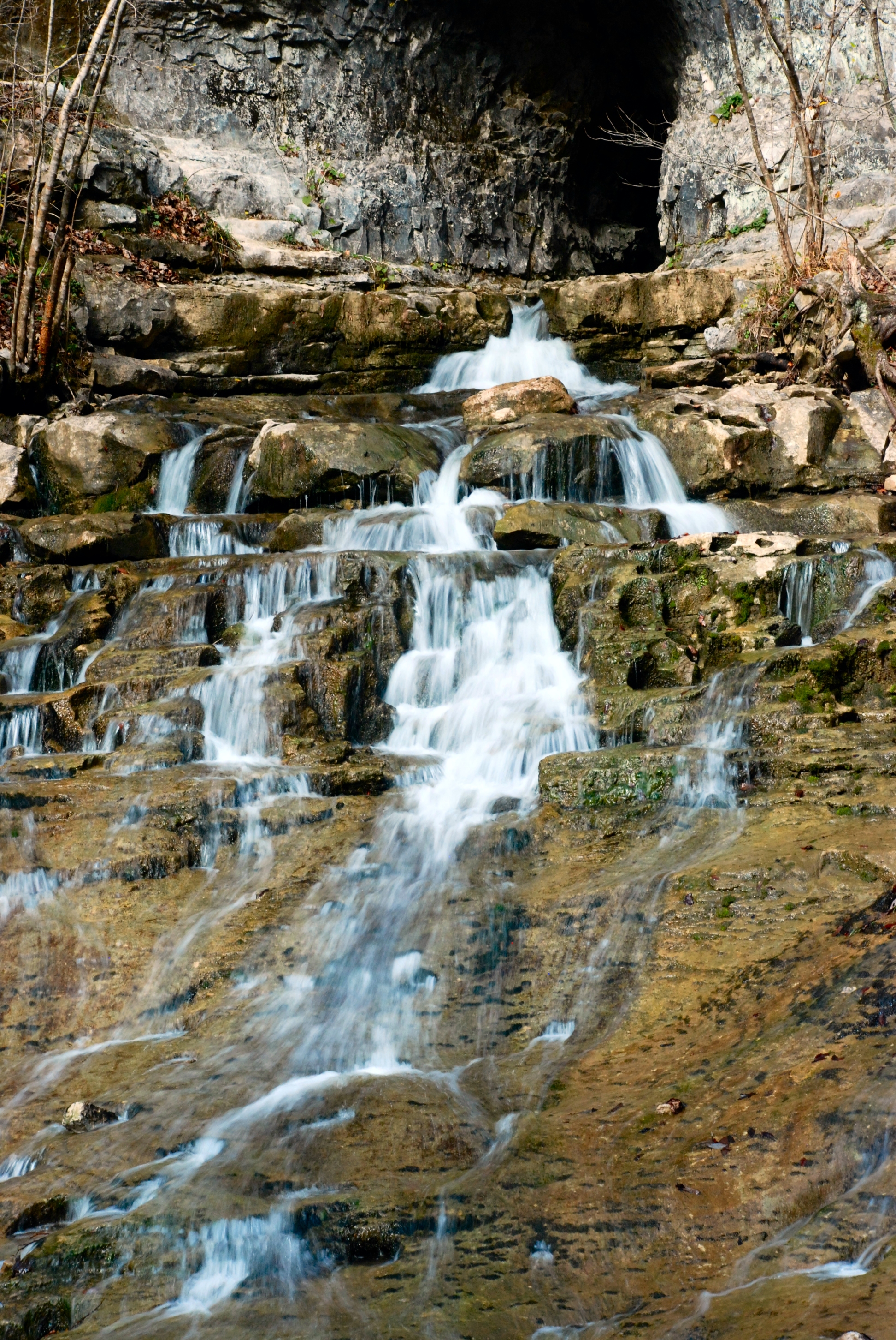 52spring Woodlands and Waters