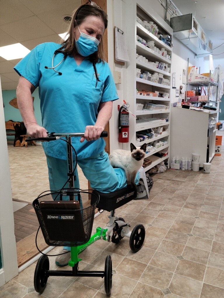 Services Woodlands Veterinary Clinic