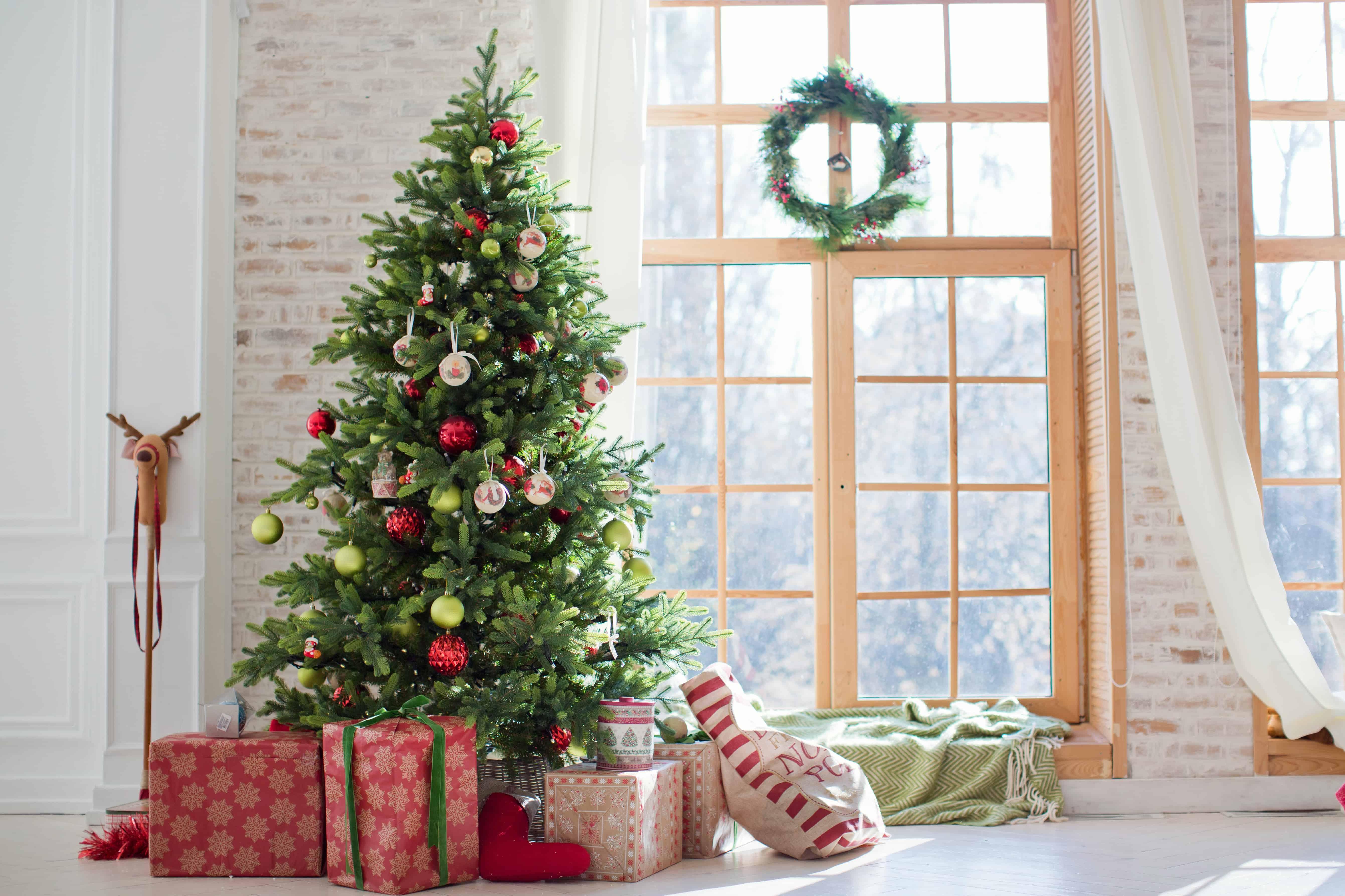 11 Questions About Christmas Trees (Answered) Wood Questions