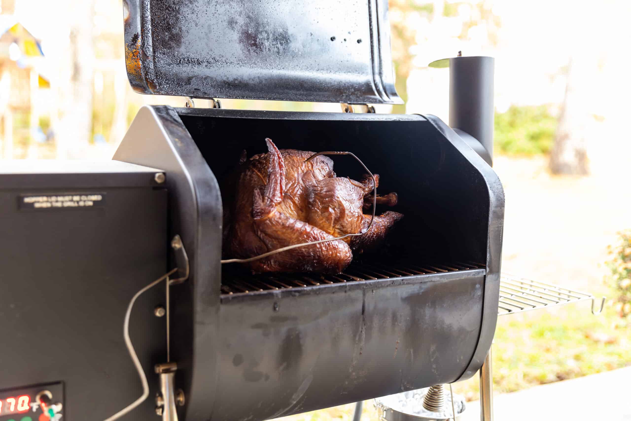 What Wood Is Best For Smoking Turkey? (Options) Wood Questions