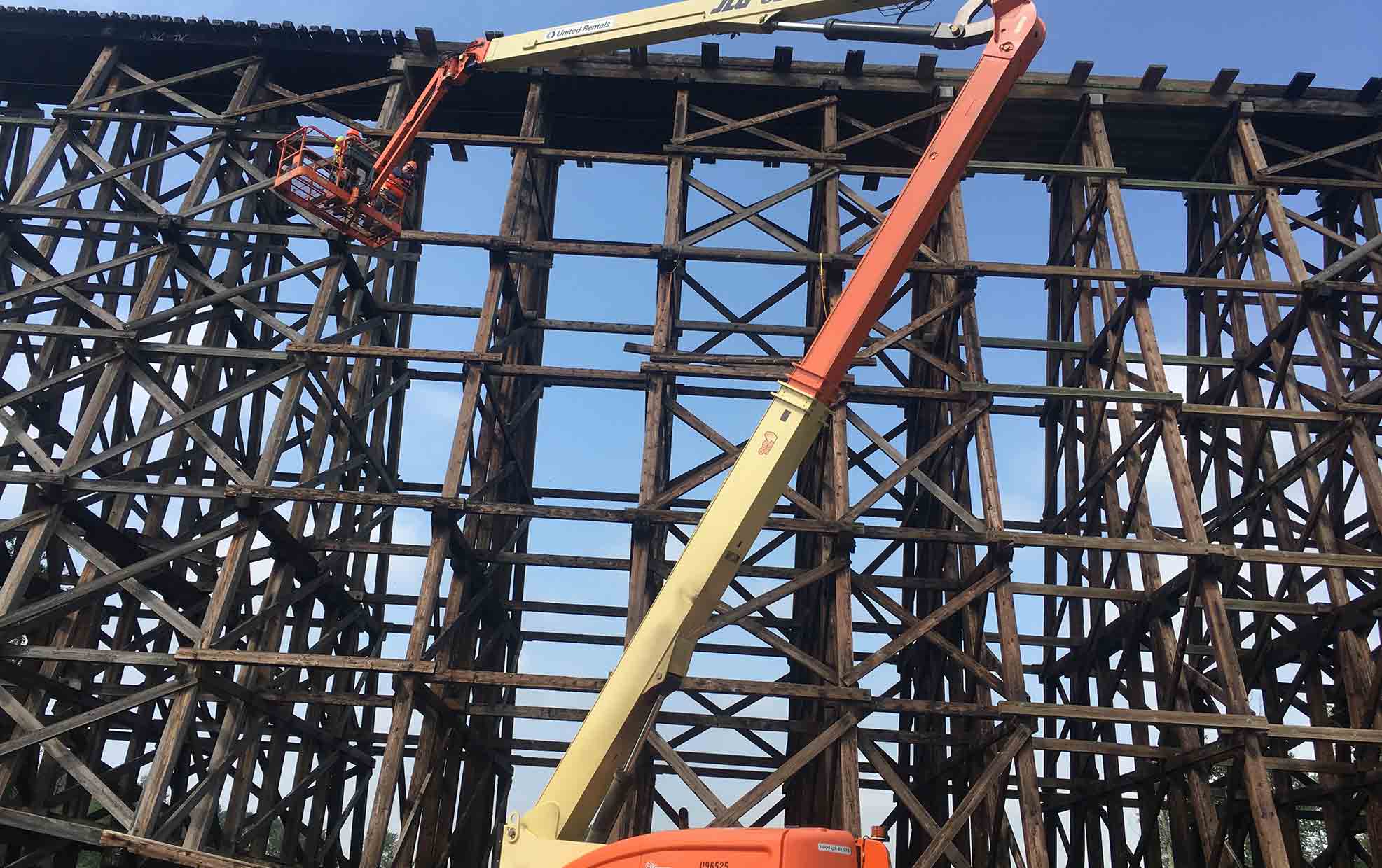 Timber Inspections Wood Research & Development