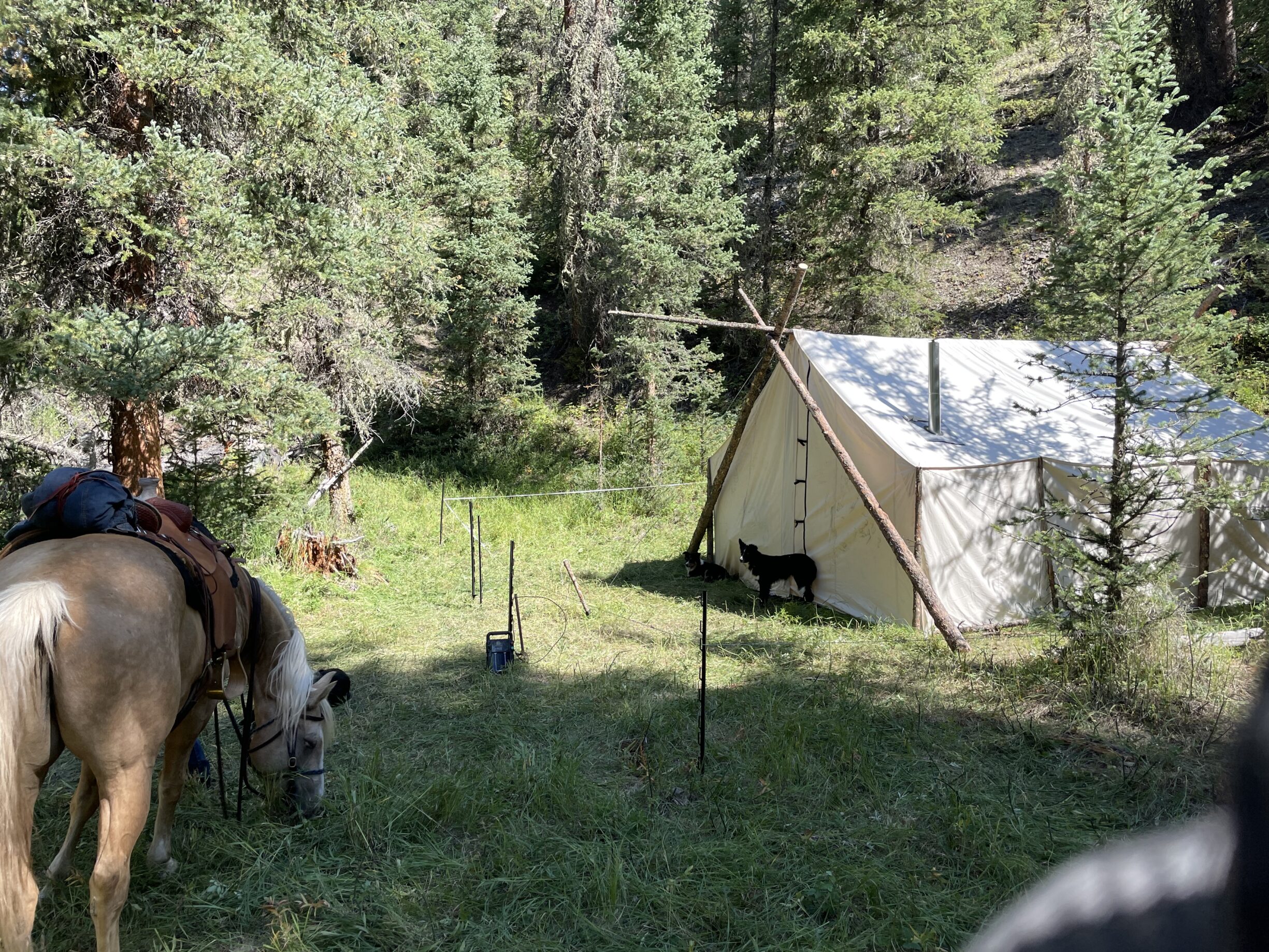 Fly Fishing Wood River Ranch