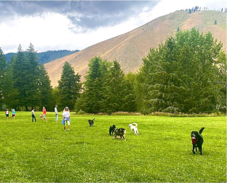 Ketchum, Land Trust Partner Up On Warm Springs Preserve Wood River Weekly