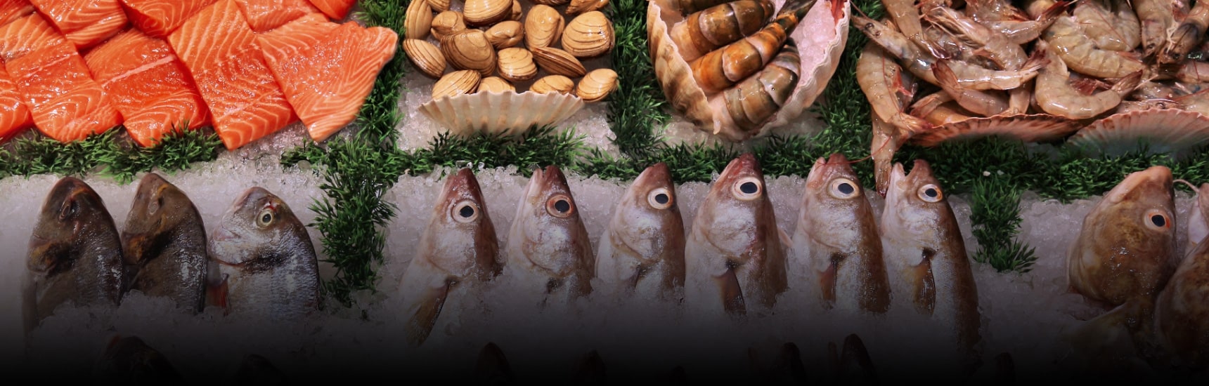 Wholesale and Retail London Fish Market Woods Fish Dorset