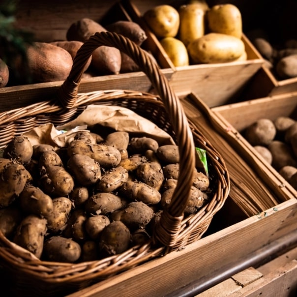 Jersey Florist Order Online for Islandwide Delivery Woodside Flowers