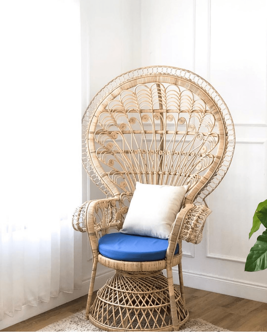 Peacock Rattan Chair Woodsluck