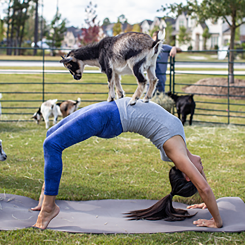 Master Planned Community Woodson's Reserve Spring, Texas