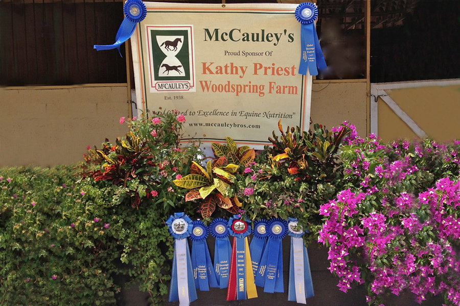 Facility/Services Woodspring Farm