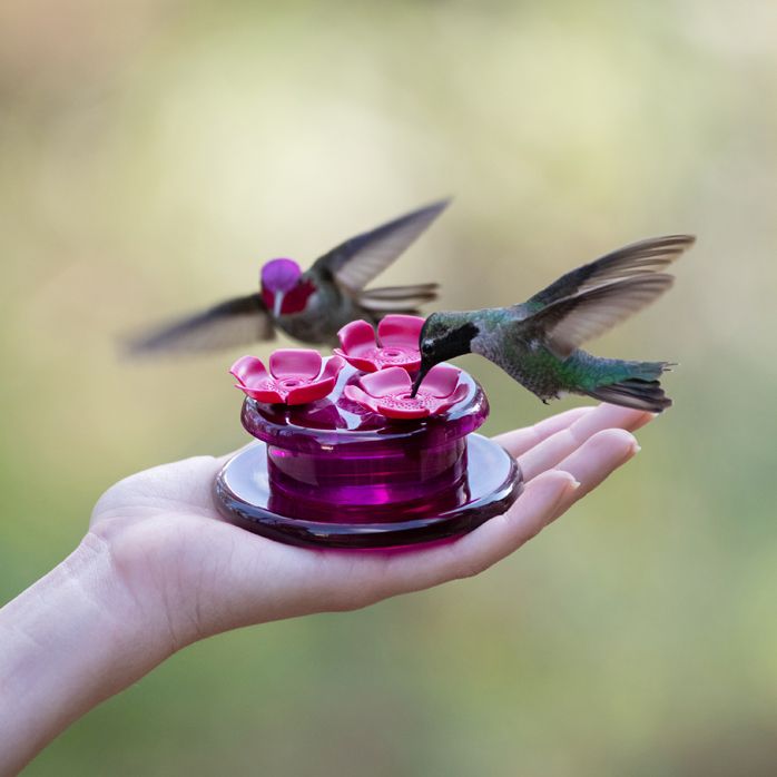 Perky-Pet® Handheld & Tabletop Hummingbird Feeder - 2 oz | www