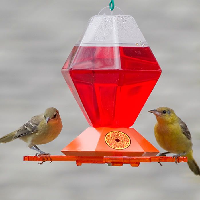 PerkyPet Oriole Feeder