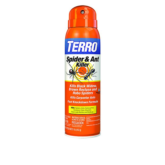 TERRO® Spider & Ant Killer Bulk Our Best Spider & Ant Spray