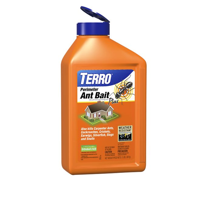 TERRO® Perimeter Ant Bait Plus The Best Ant Killer for Lawns