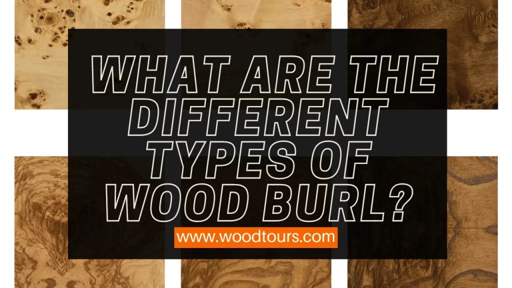 What Is Burl Wood? Makes the Most Covetable Pieces for Your Home In
