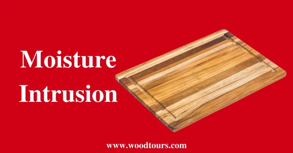 Why Is My Wooden Cutting Board Splintering? Step By Step Guide 2023