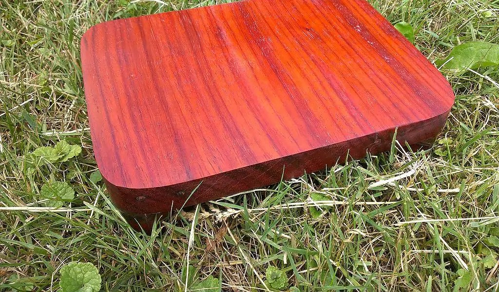 Top 20 Hardest Wood In The World (Based On Janka Hardness)