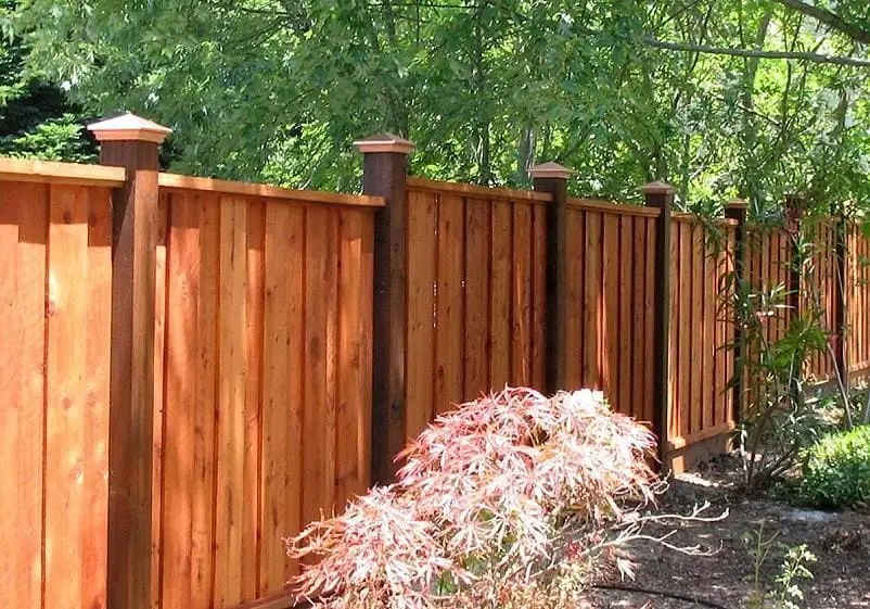 10 Best Wood For Fencing & Fencing Posts (MostInDemand)