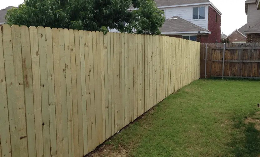 10 Best Wood For Fencing & Fencing Posts (MostInDemand)