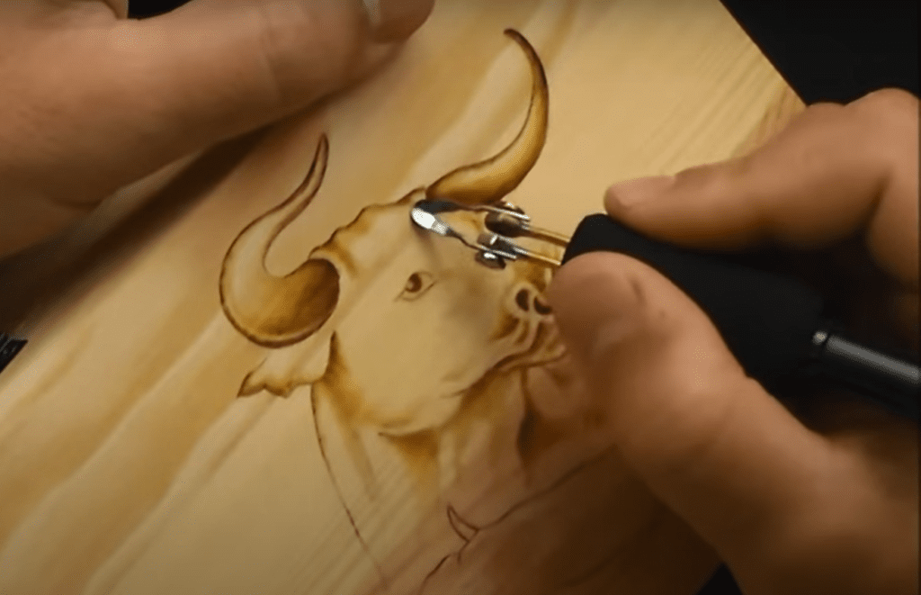 10 Best Wood For Pyrography (Affordable & Easy To Work With)