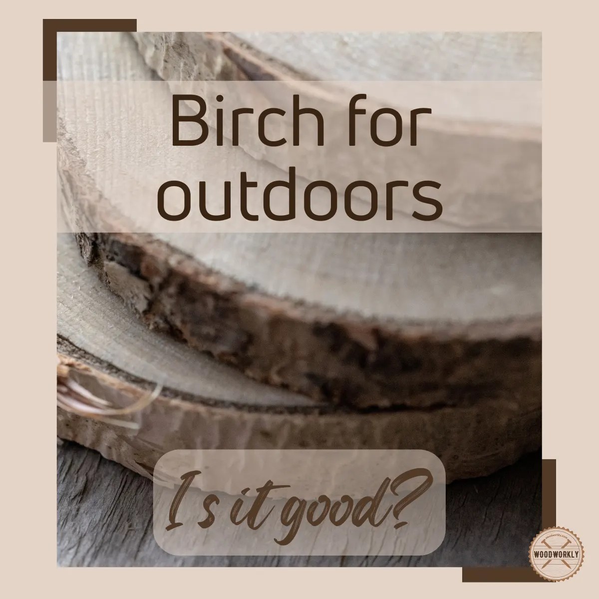 Is Birch Good for Outdoors? Here's The Truth! WoodWorkly