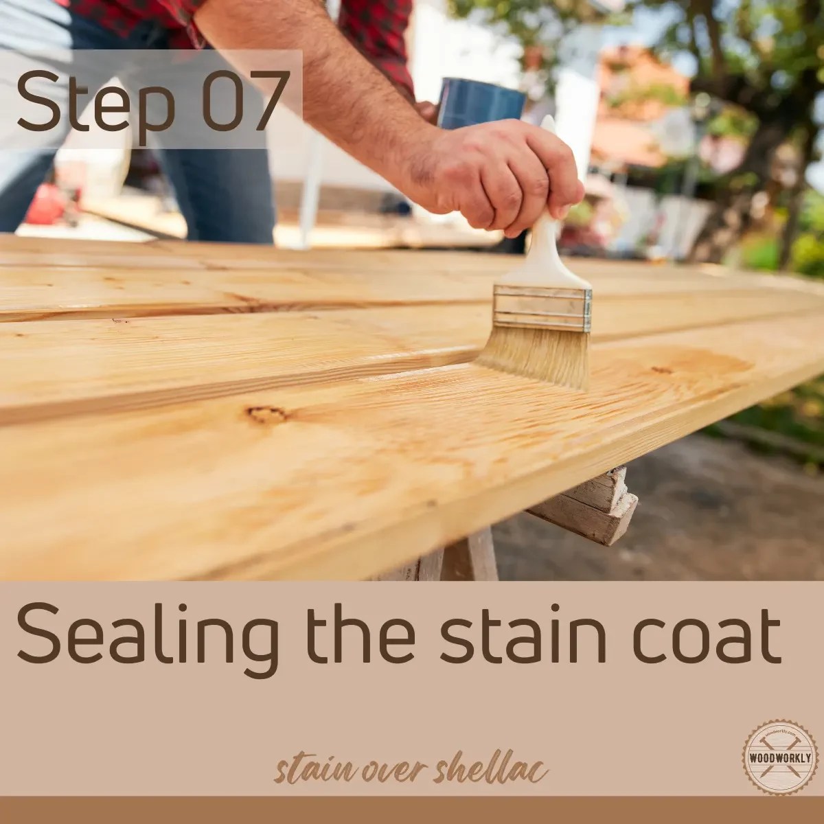 Can You Stain Over Shellac? Here's The Truth! (2023)