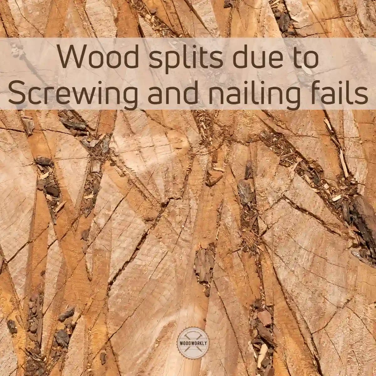 8 Best Methods To Keep Wood From Splitting (EASY Guide!)
