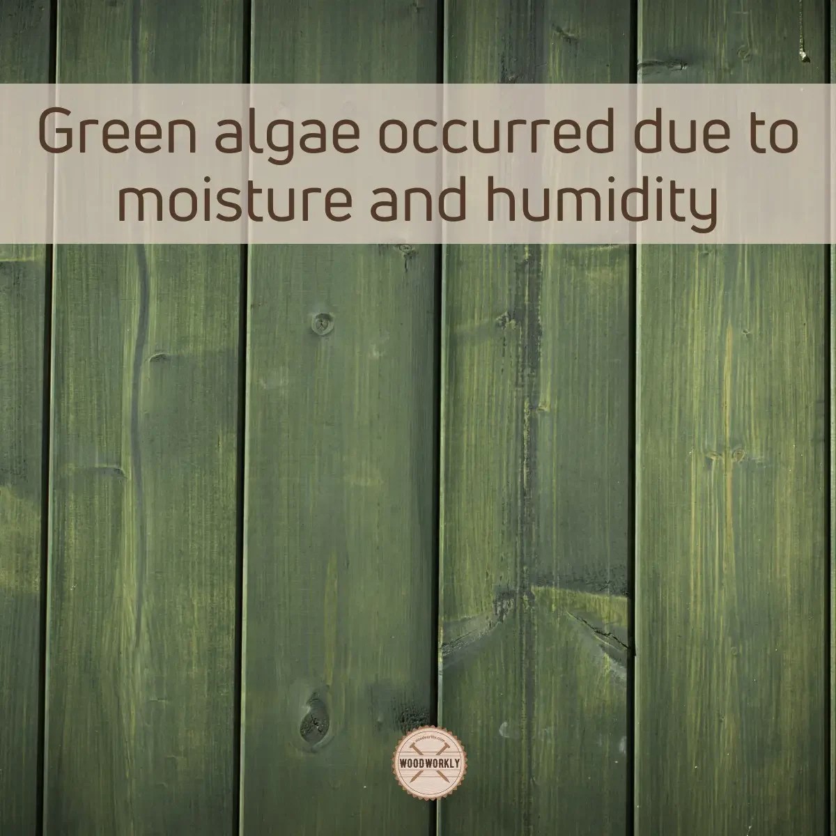 How To Get Green Off Pressure Treated Wood (14 EASY Methods)