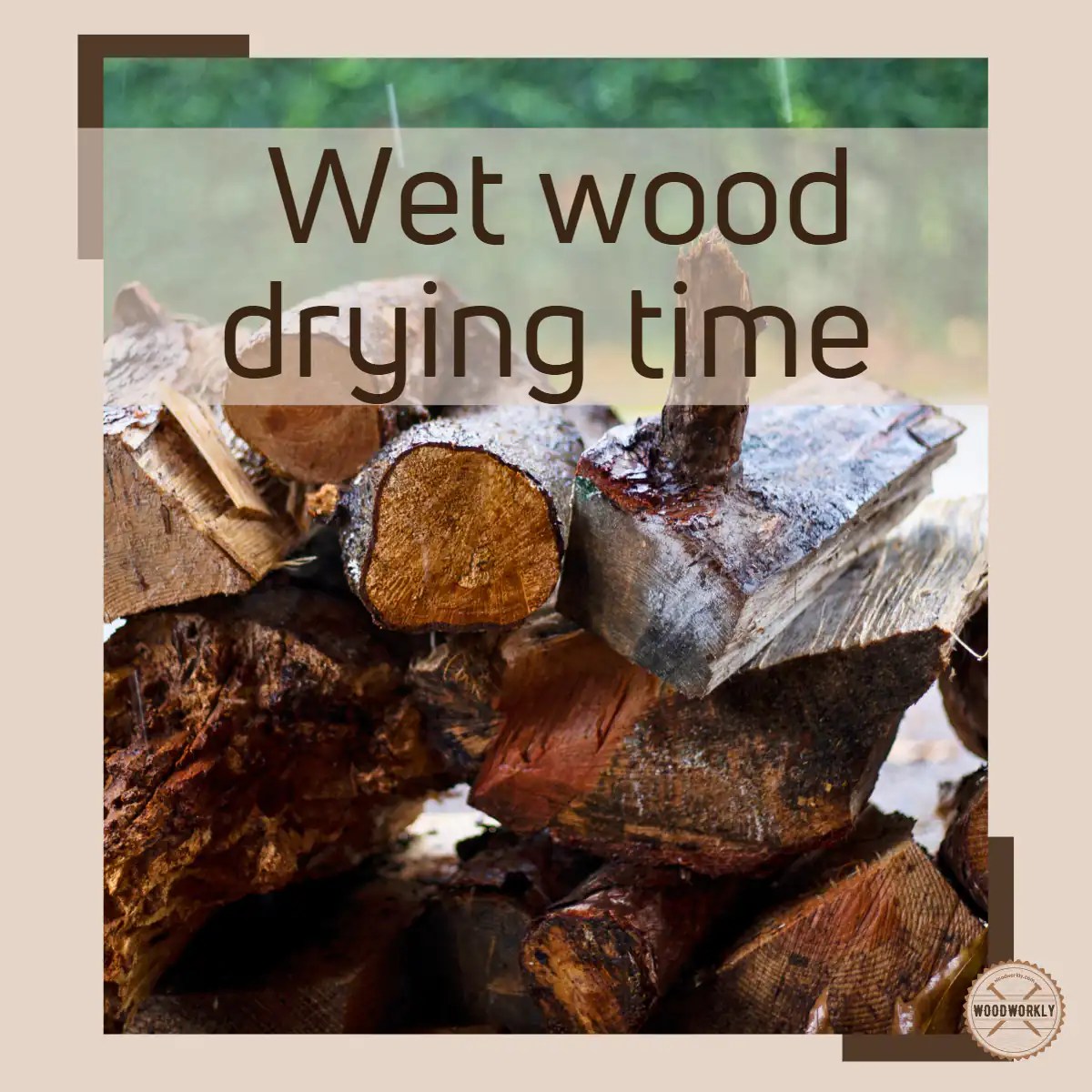 How Long Does Wet Wood Take To Dry? (4 Fast Drying Tips!)