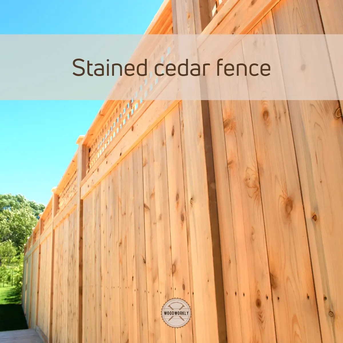 Does Cedar Stain Well? (2023 Ultimate Guide!) WoodWorkly